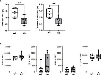 Specificity of CD200/CD200R pathway in LPS-induced lung inflammation